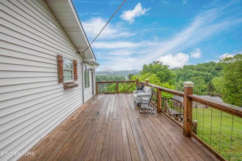 Tiny photo for 140 Walnut Circle, New Tazewell, TN 37825 (MLS # 1340547)
