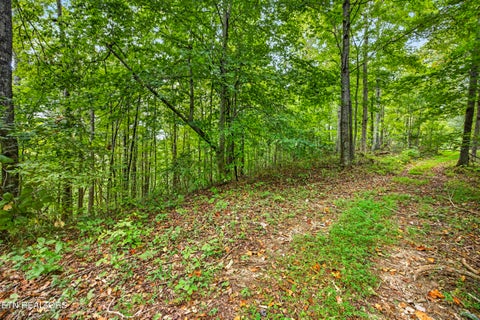 Tiny photo for 3031 Timber Ridge Lane, Celina, TN 38551 (MLS # 1359407)