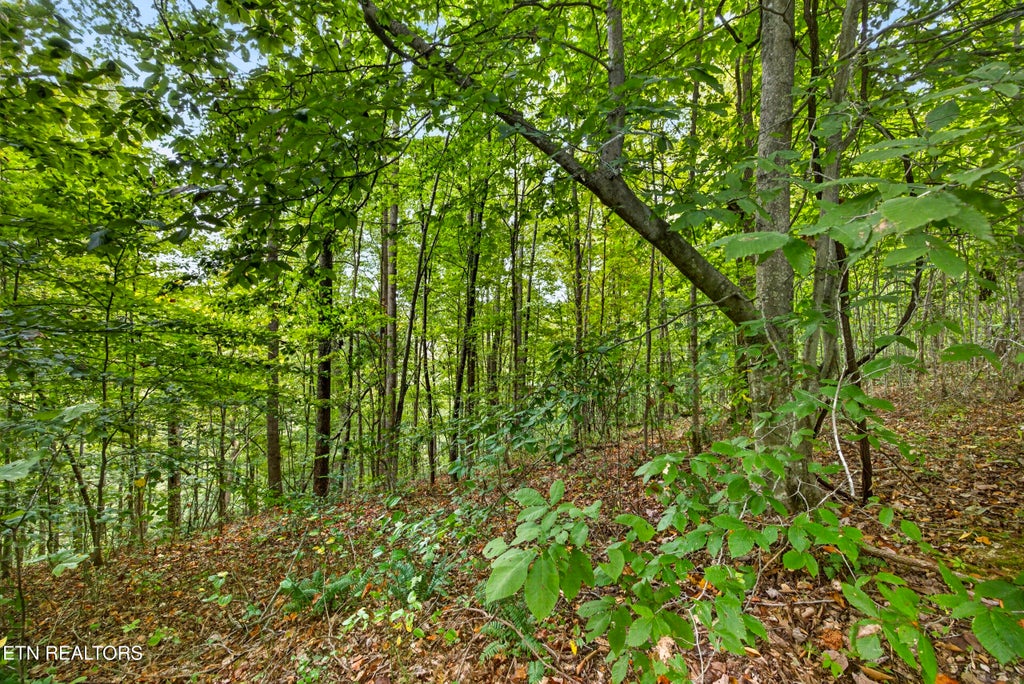 Photo of 3031 Timber Ridge Lane, Celina, TN 38551 (MLS # 1359407)