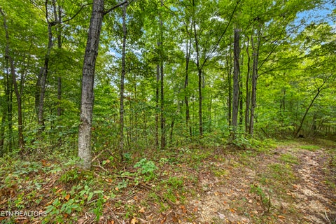 Tiny photo for 3031 Timber Ridge Lane, Celina, TN 38551 (MLS # 1359407)