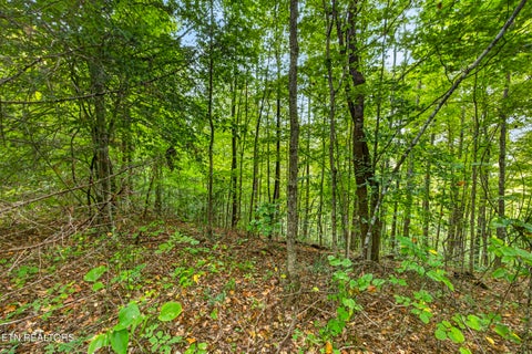 Tiny photo for 3031 Timber Ridge Lane, Celina, TN 38551 (MLS # 1359407)