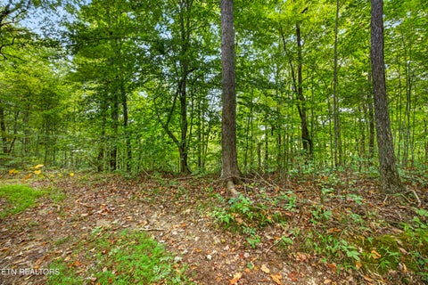 Photo of 3031 Timber Ridge Lane, Celina, TN 38551 (MLS # 1359407)