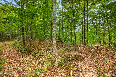 Tiny photo for 3031 Timber Ridge Lane, Celina, TN 38551 (MLS # 1359407)