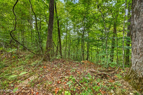 Tiny photo for 3031 Timber Ridge Lane, Celina, TN 38551 (MLS # 1359407)