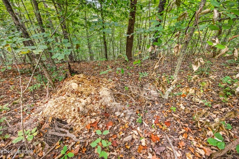Tiny photo for 3031 Timber Ridge Lane, Celina, TN 38551 (MLS # 1359407)