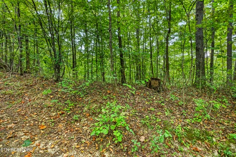 Tiny photo for 3031 Timber Ridge Lane, Celina, TN 38551 (MLS # 1359407)