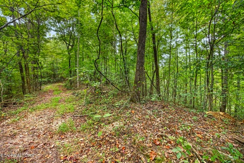 Tiny photo for 3031 Timber Ridge Lane, Celina, TN 38551 (MLS # 1359407)