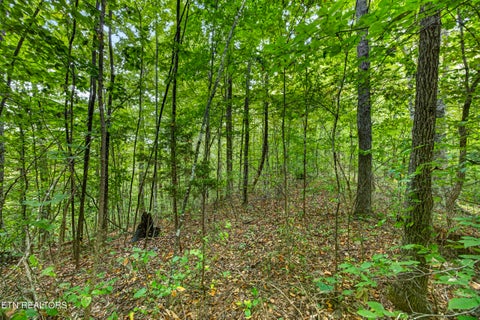 Tiny photo for 3031 Timber Ridge Lane, Celina, TN 38551 (MLS # 1359407)