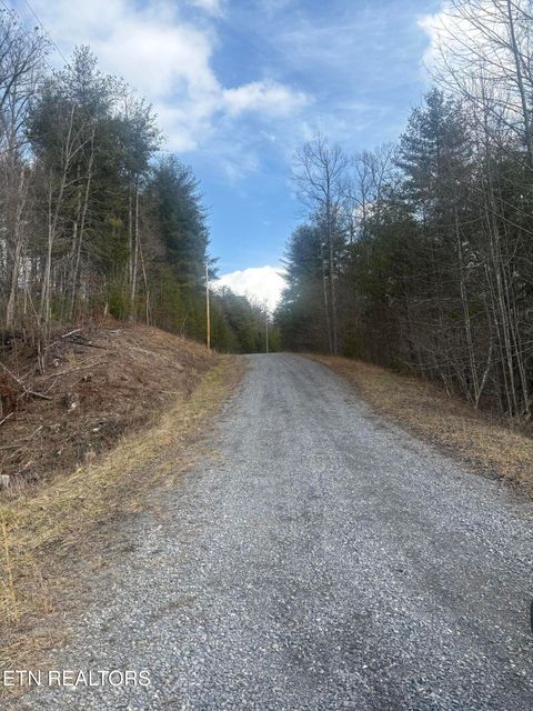 Tiny photo for --- Sugar Maple Way, Del Rio, TN 37727 (MLS # 1329168)