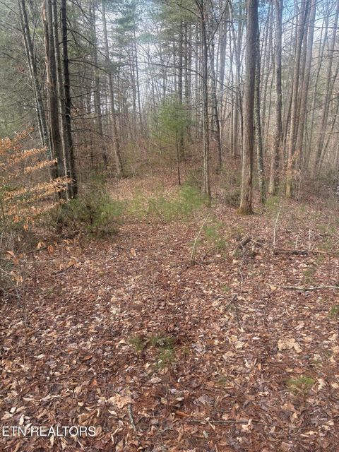 Tiny photo for --- Sugar Maple Way, Del Rio, TN 37727 (MLS # 1329168)