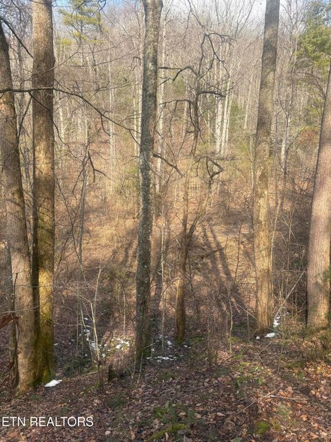 Tiny photo for --- Sugar Maple Way, Del Rio, TN 37727 (MLS # 1329168)