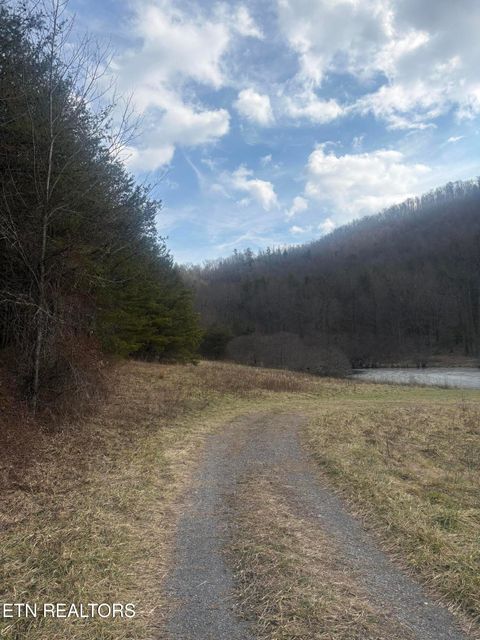 Tiny photo for --- Sugar Maple Way, Del Rio, TN 37727 (MLS # 1329168)