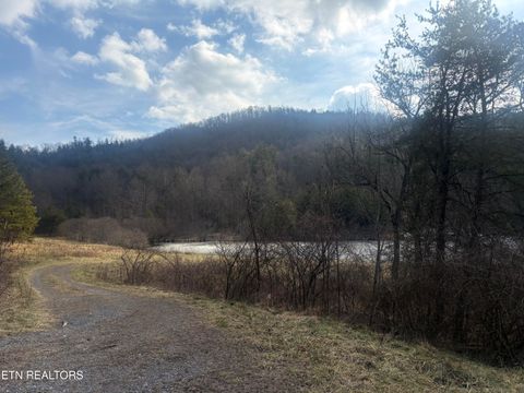 Tiny photo for --- Sugar Maple Way, Del Rio, TN 37727 (MLS # 1329168)