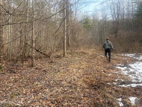 Tiny photo for --- Sugar Maple Way, Del Rio, TN 37727 (MLS # 1329168)