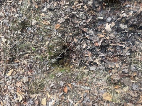 Tiny photo for --- Sugar Maple Way, Del Rio, TN 37727 (MLS # 1329168)