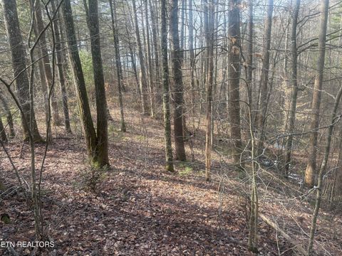 Tiny photo for --- Sugar Maple Way, Del Rio, TN 37727 (MLS # 1329168)