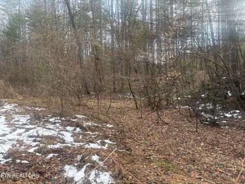 Tiny photo for --- Sugar Maple Way, Del Rio, TN 37727 (MLS # 1329168)