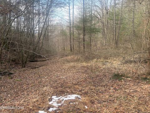 Tiny photo for --- Sugar Maple Way, Del Rio, TN 37727 (MLS # 1329168)