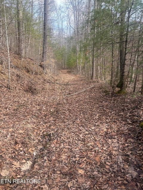 Tiny photo for --- Sugar Maple Way, Del Rio, TN 37727 (MLS # 1329168)