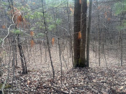 Tiny photo for --- Sugar Maple Way, Del Rio, TN 37727 (MLS # 1329168)