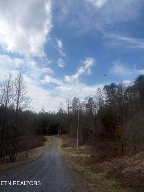 Tiny photo for --- Sugar Maple Way, Del Rio, TN 37727 (MLS # 1329168)