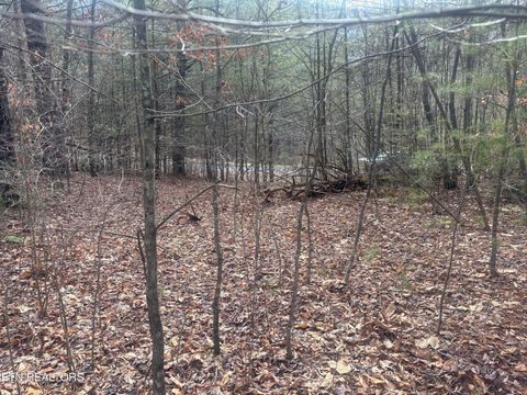 Tiny photo for --- Sugar Maple Way, Del Rio, TN 37727 (MLS # 1329168)