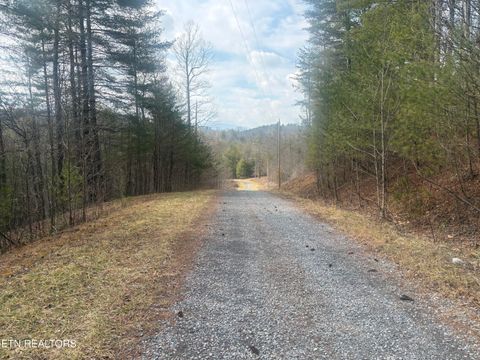 Tiny photo for --- Sugar Maple Way, Del Rio, TN 37727 (MLS # 1329168)