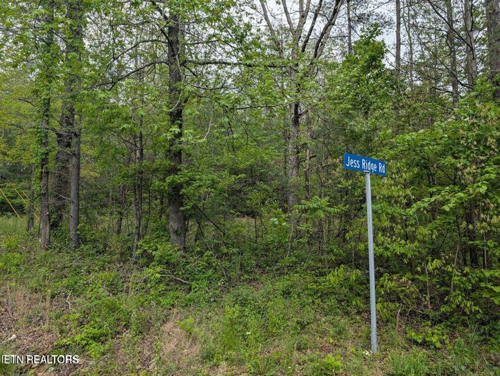 Photo of 158 Jess Ridge Rd, Lancing, TN 37770 (MLS # 1335888)