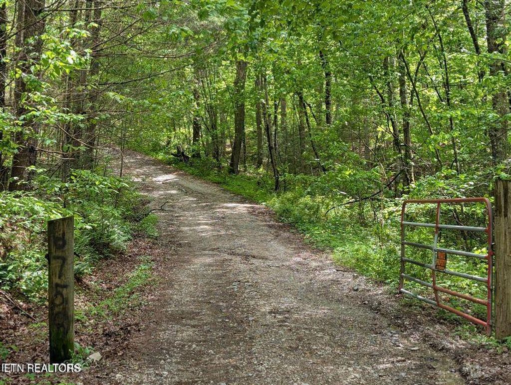 Photo of 158 Jess Ridge Rd, Lancing, TN 37770 (MLS # 1335888)