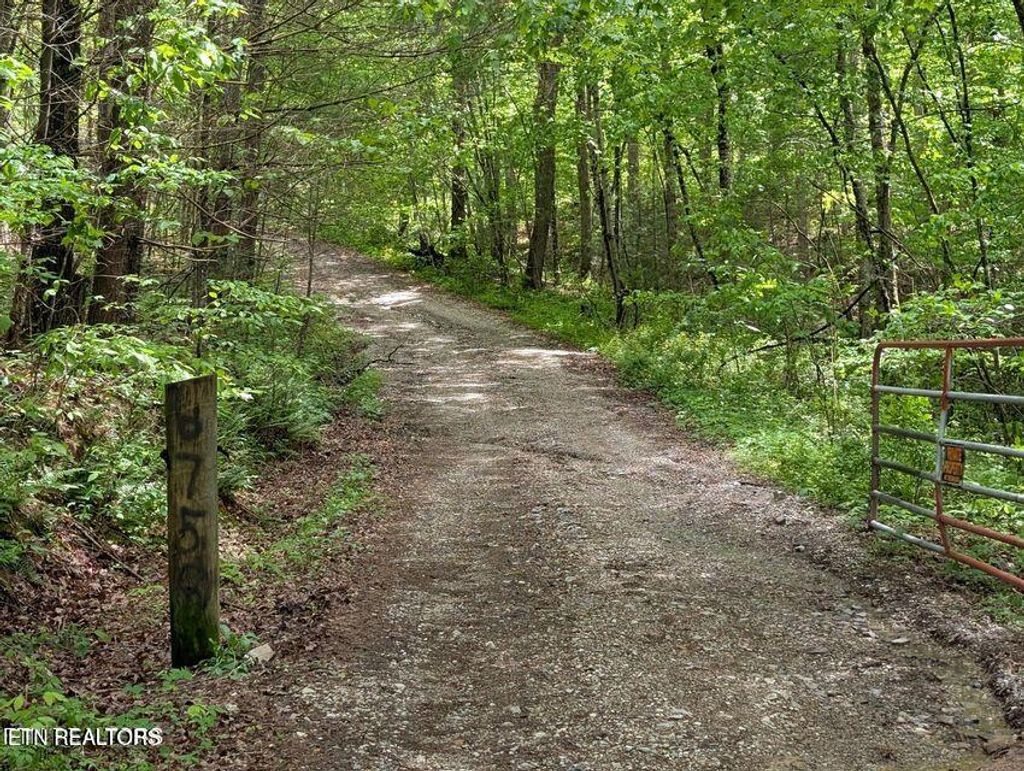 Photo of 158 Jess Ridge Rd, Lancing, TN 37770 (MLS # 1335888)