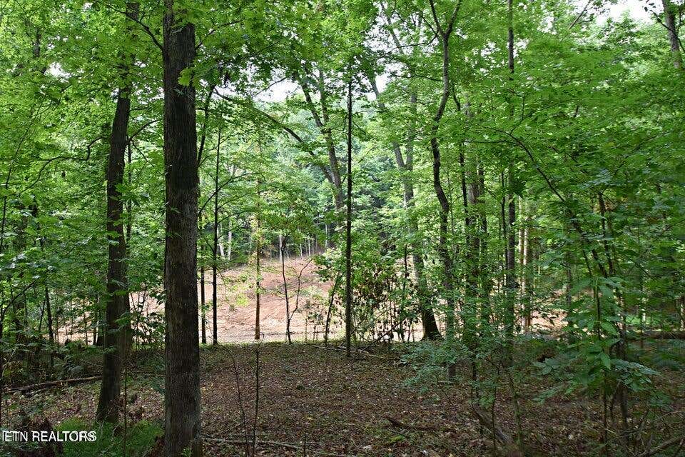 Photo of 0 Early Rd #3, Knoxville, TN 37922 (MLS # 1351022)