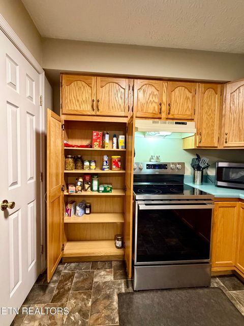 Tiny photo for 1165 Towe String Rd, Jacksboro, TN 37757 (MLS # 1348867)