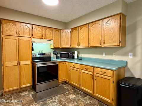 Tiny photo for 1165 Towe String Rd, Jacksboro, TN 37757 (MLS # 1348867)