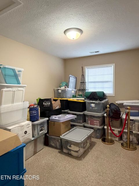 Tiny photo for 1165 Towe String Rd, Jacksboro, TN 37757 (MLS # 1348867)