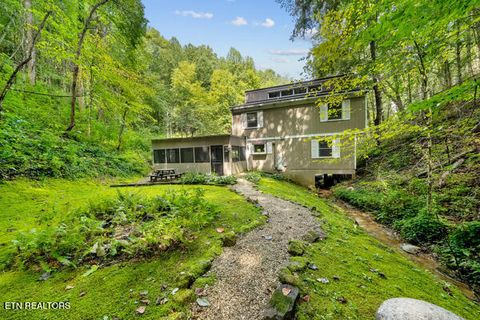Tiny photo for 3127 Emerald Springs Loop, Sevierville, TN 37862 (MLS # 1325026)