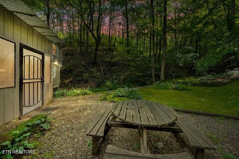 Tiny photo for 3127 Emerald Springs Loop, Sevierville, TN 37862 (MLS # 1325026)