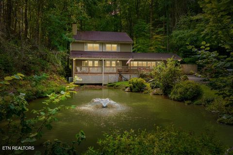 Tiny photo for 3127 Emerald Springs Loop, Sevierville, TN 37862 (MLS # 1325026)