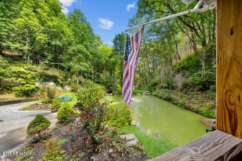 Tiny photo for 3127 Emerald Springs Loop, Sevierville, TN 37862 (MLS # 1325026)