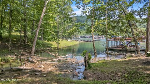 Tiny photo for 237 Blue Ridge Rd, Speedwell, TN 37870 (MLS # 1331947)