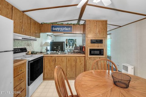 Tiny photo for 237 Blue Ridge Rd, Speedwell, TN 37870 (MLS # 1331947)