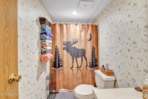 Tiny photo for 237 Blue Ridge Rd, Speedwell, TN 37870 (MLS # 1331947)