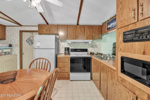 Tiny photo for 237 Blue Ridge Rd, Speedwell, TN 37870 (MLS # 1331947)