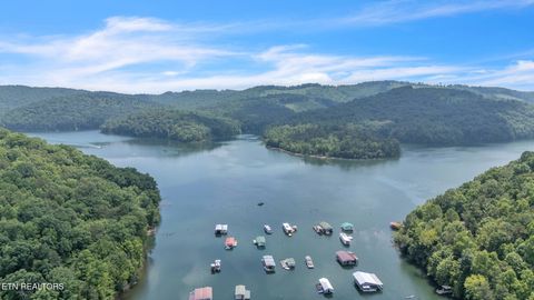 Tiny photo for 237 Blue Ridge Rd, Speedwell, TN 37870 (MLS # 1331947)