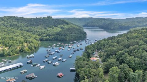 Tiny photo for 237 Blue Ridge Rd, Speedwell, TN 37870 (MLS # 1331947)