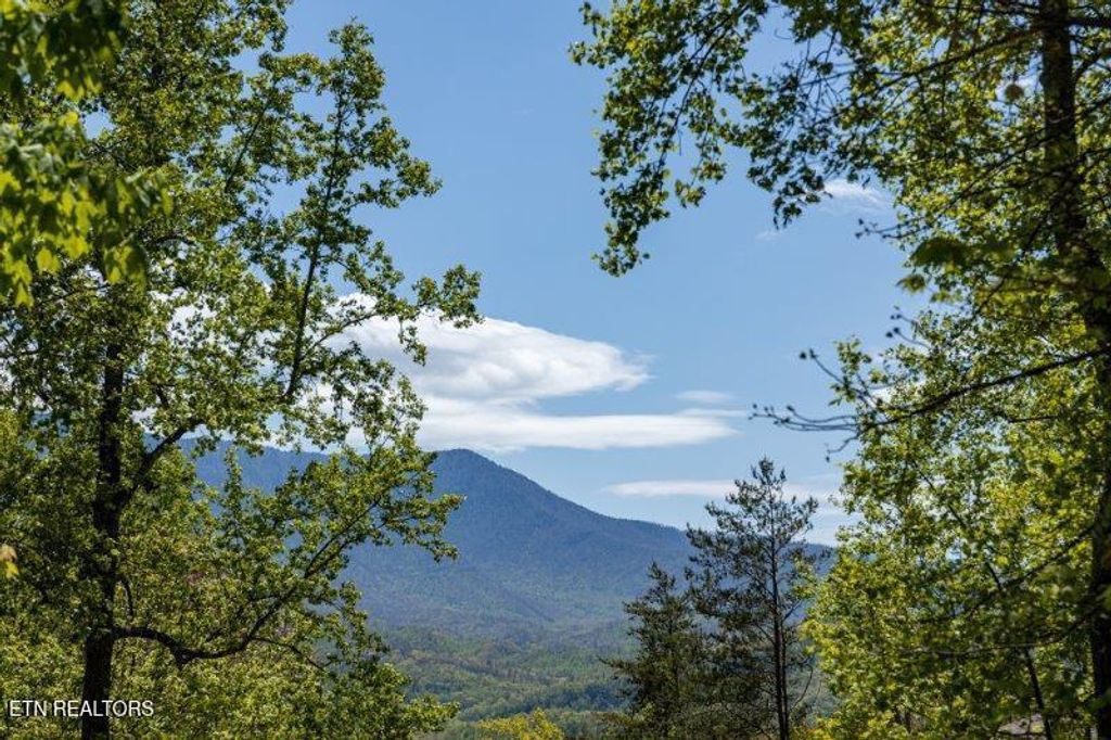 Photo of 1027 Condo Drive, Gatlinburg, TN 37738 (MLS # 1331480)