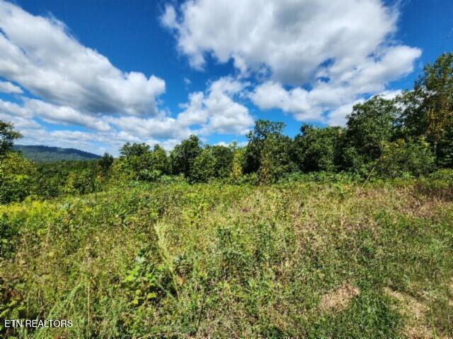 Photo of 1434 Tomahawk Rd, Jamestown, TN 38556 (MLS # 1356028)