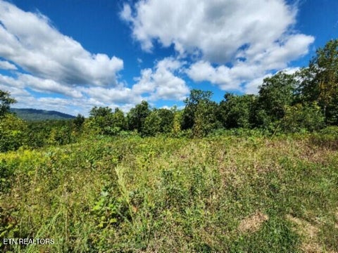 Tiny photo for 1434 Tomahawk Rd, Jamestown, TN 38556 (MLS # 1356028)