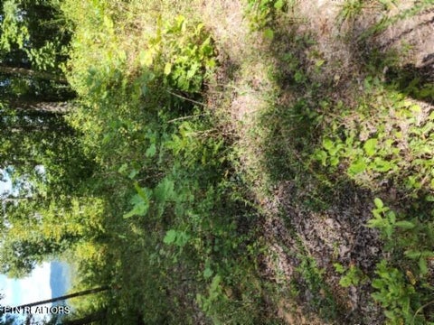 Tiny photo for 1434 Tomahawk Rd, Jamestown, TN 38556 (MLS # 1356028)
