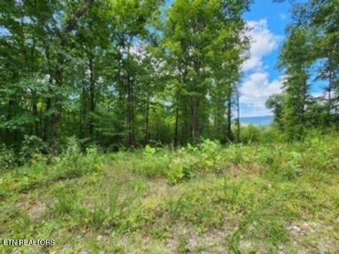 Tiny photo for 1434 Tomahawk Rd, Jamestown, TN 38556 (MLS # 1356028)