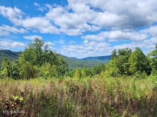 Photo of 1434 Tomahawk Rd, Jamestown, TN 38556 (MLS # 1356028)